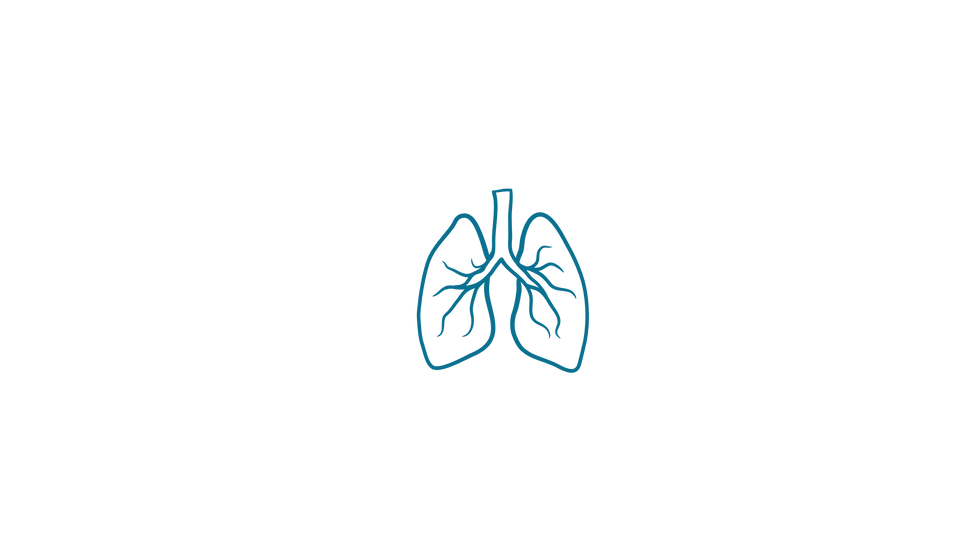 Bilan respiratoire Circae