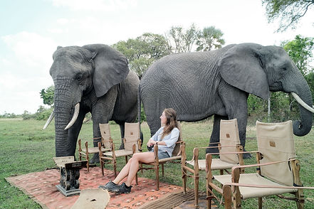 elephants-abu-camp-botswana.jpg