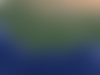 The Role of Linguistics