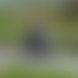 WHY I RIDE FOR AUTISM |Jess