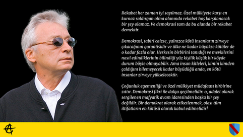 Demokratik Leviathan