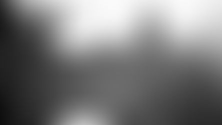 Anarşizmin İki Türü