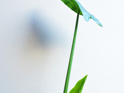                                                                      La alegría de la primavera 