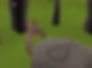ree