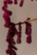 image00017.jpeg