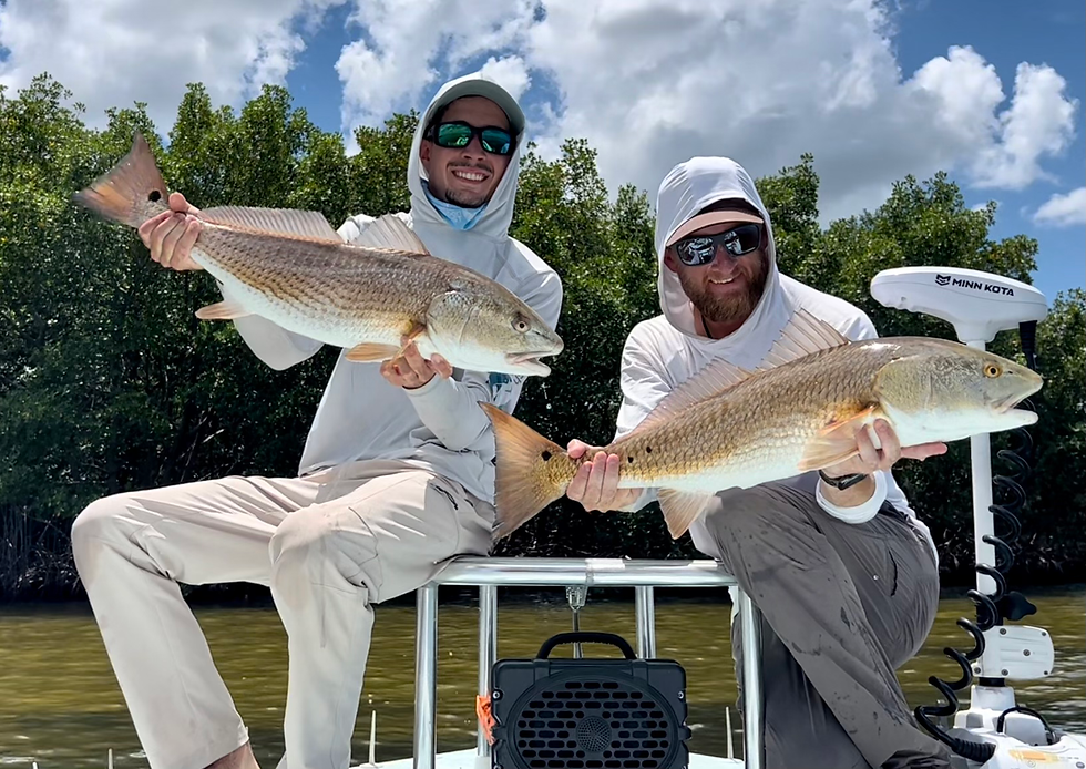 Sampled fish Tampa Bay