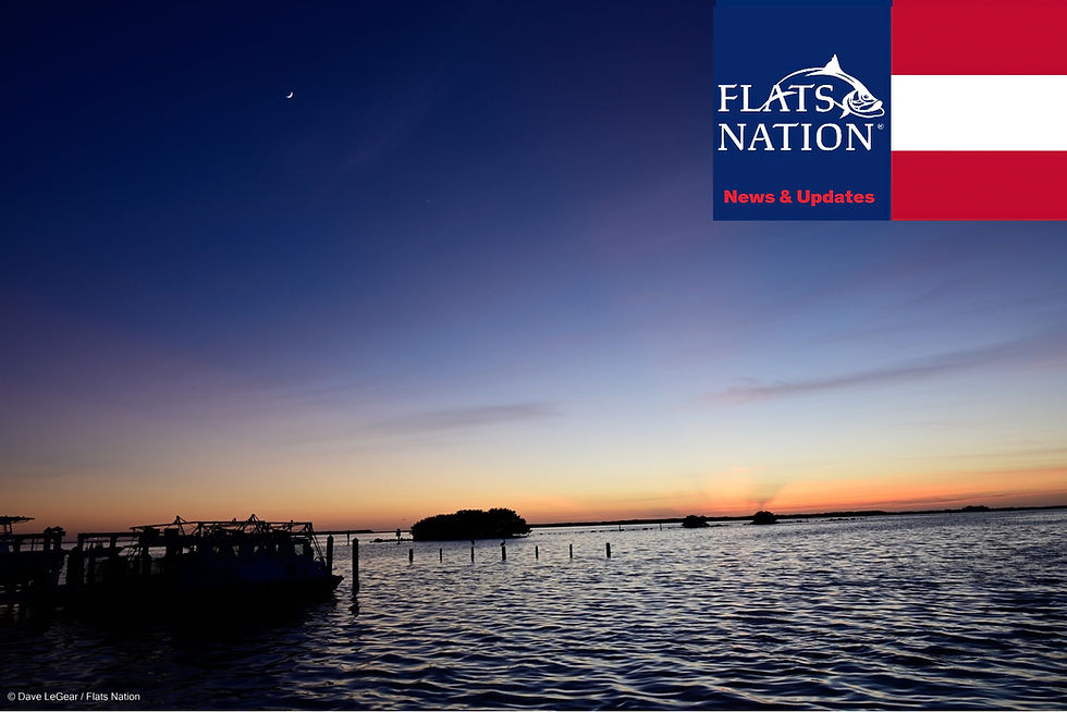 Flats Nation Updates promo shot