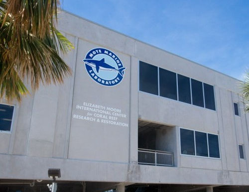 Mote Marine Center for Coral Reef Research & Restoration
