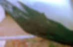 skeg filler