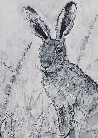 Mono_Hare_3.jpg