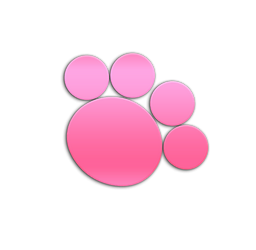 柴犬の里 ドッグラン 仔犬販売 日本 熊本 阿蘇 触れ合い広場 犬