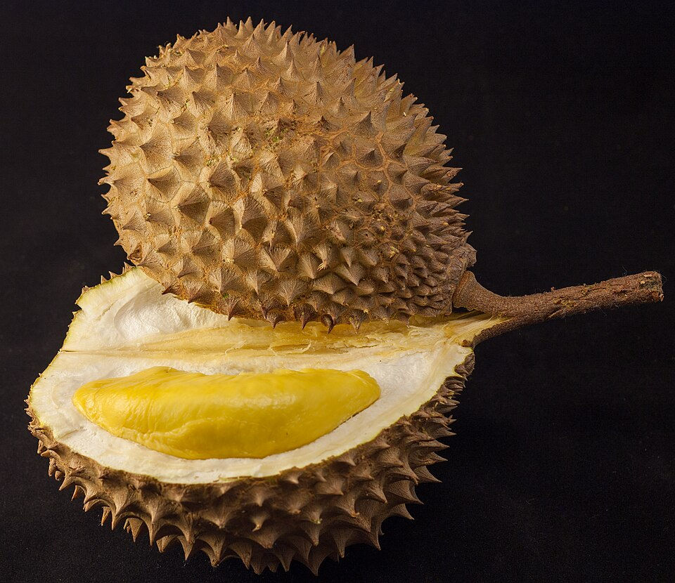 Durian (Seasonal Fruits) Feasting