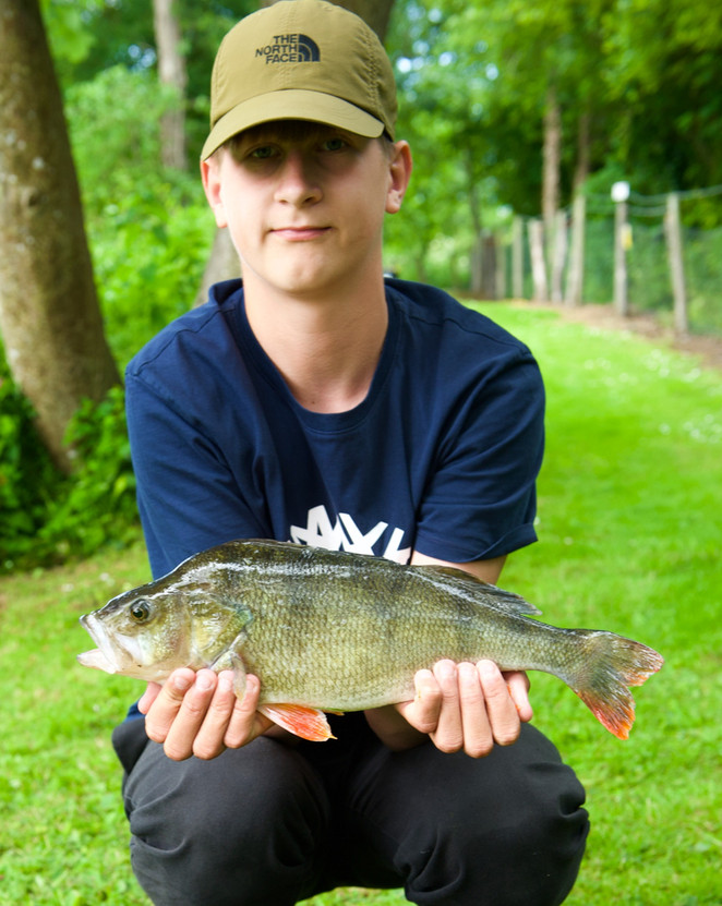 Lovely specimen perch