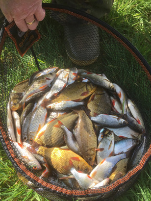 What a haul!