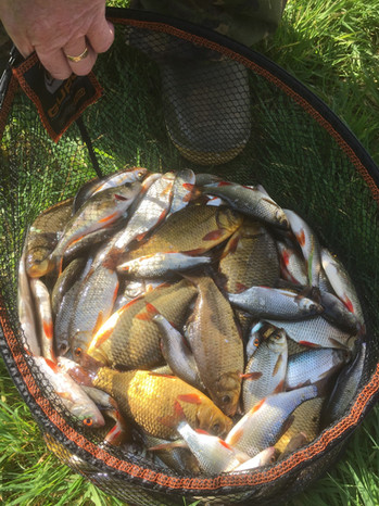 What a haul!
