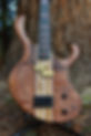Manton Customs Ascendant 4 String (2).jpeg