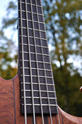 Manton Customs Ascendant 5 String Bass African Rosewood (17).jpeg