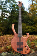 Manton Customs Ascendant 5 String Bass African Rosewood (1).jpeg