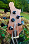 Manton Customs Ascendant 5 String Bass African Rosewood (9).jpeg