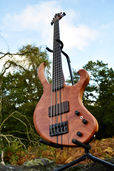 Manton Customs Ascendant 5 String Bass African Rosewood (7).jpeg