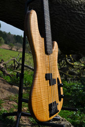 Manton Customs Paradigm Flamed Ash 