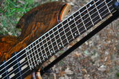 Manton Customs Medium Scale Walnut 6 String Titan (15).JPG