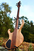 Manton Customs Ascendant 5 String Bass African Rosewood (15).jpeg