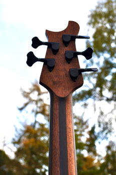 Manton Customs Ascendant 5 String Bass African Rosewood (13).jpeg