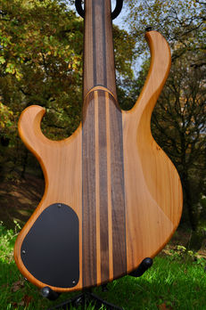 Manton Customs Ascendant Yew 6 String Bass (7).jpeg