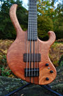Manton Customs Ascendant 5 String Bass African Rosewood (2).jpeg