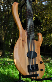 Manton Customs Ascendant Yew 6 String Bass (11).jpeg