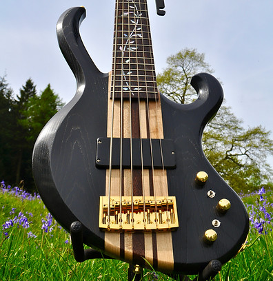 Manton Customs Ascendant 6 String Bass (9).jpeg