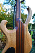 Manton Customs Ascendant 5 String Bass African Rosewood (11).jpeg