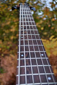 Manton Customs Ascendant Yew 6 String Bass (14).jpeg