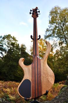 Manton Customs Ascendant 5 String Bass African Rosewood (10).jpeg
