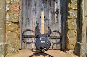 Manton Customs Immortal 7 String (8).JPG