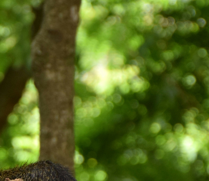 Photo cred_ Yoel Winkler