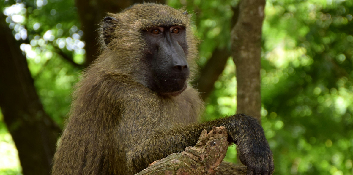 Photo cred_ Yoel Winkler