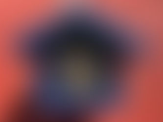 Garden Obstacles: Native Plants for Mason Bees