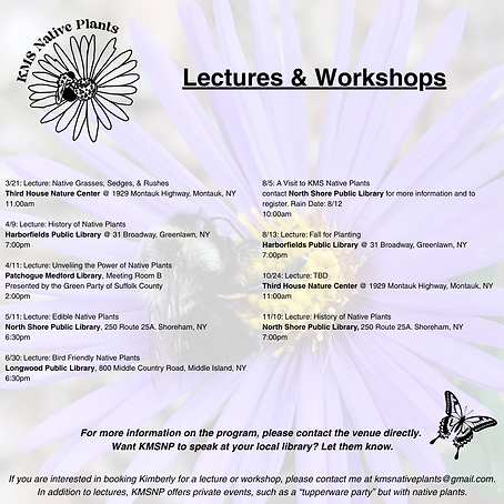 3.11 lectures and workshops.png