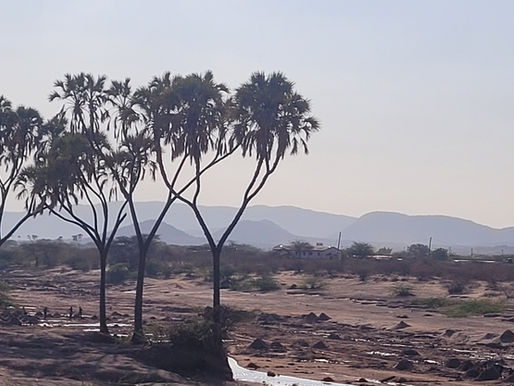 First Day in Samburu: A Journey, A Welcome, and Shared Joy