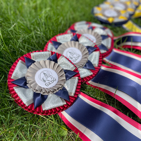 Announcing the Inaugural OADG ESD Series Championship — September 12 at Westar Farms