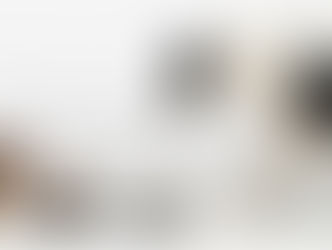 Qual a quantidade de ração devo dar ao meu cão?