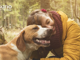 Não importa raça ou tamanho do seu cão, ele sempre será seu melhor amigo
