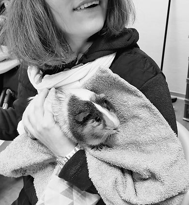 Noisette le cochon d'inde dans les bras d'une jeune fille autiste.