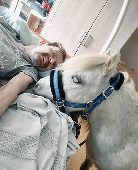 Hector le poney, au chevet d'un patient.