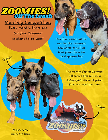Zoomies!Competition!.png