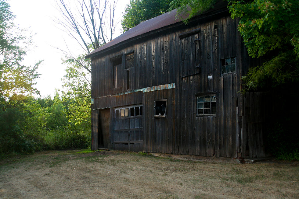 Two Friends in a Shed