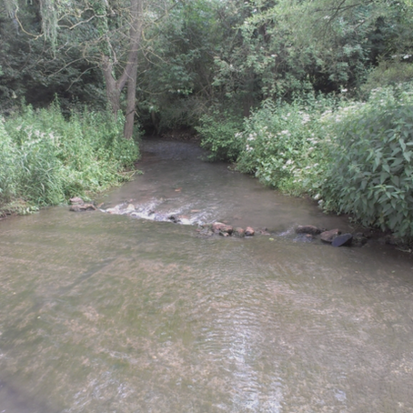 NECFC Secures Water Environment Improvement Fund (WEIF) grant Funding in the cherwell catchment