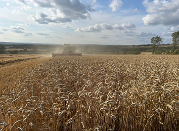 Priory Farm, Lyneham, Chipping Norton, OX7 6QN